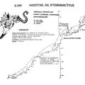 Déséquipement du Ptéro