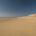 A la limite du sable et de l'eau