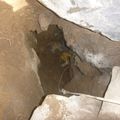 Grosse désob au 126