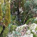 Prospection - Cavité  sur un micro karst à Ainhoa