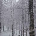 De la blanche très fraîche