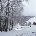 De la neige, y a pu y a pu