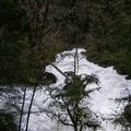 Que d'eau ! que d'eau !