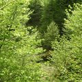 Prospection sur Paoberri
