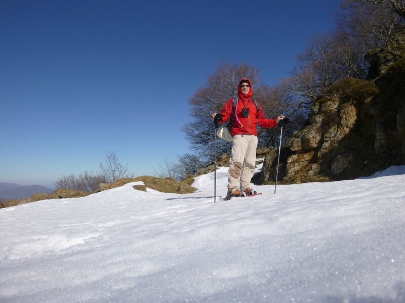 On dirait pas, mais ça monte...