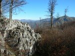 DSCN3494