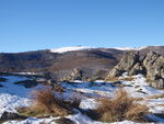 20110206_Okabe__2_