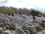 P1000754