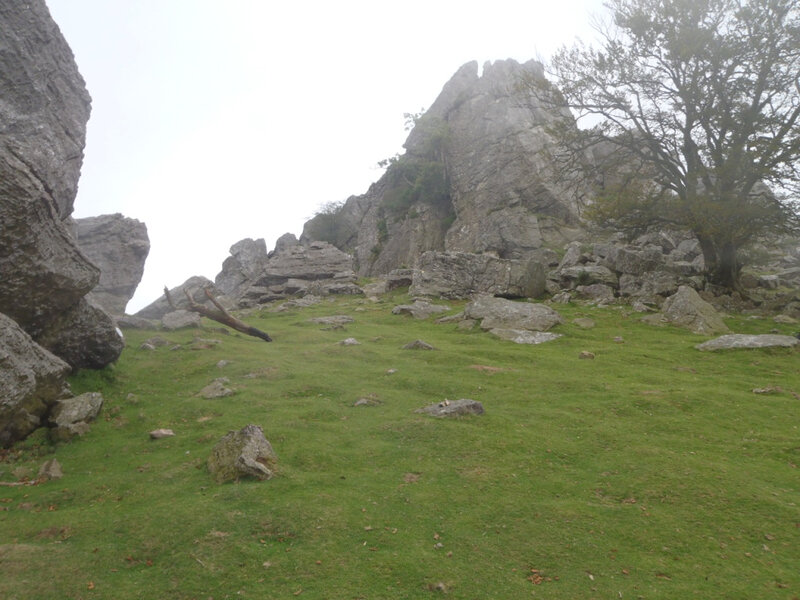 On dirait l'Ossau, non ?