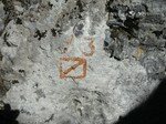 DSCN3496