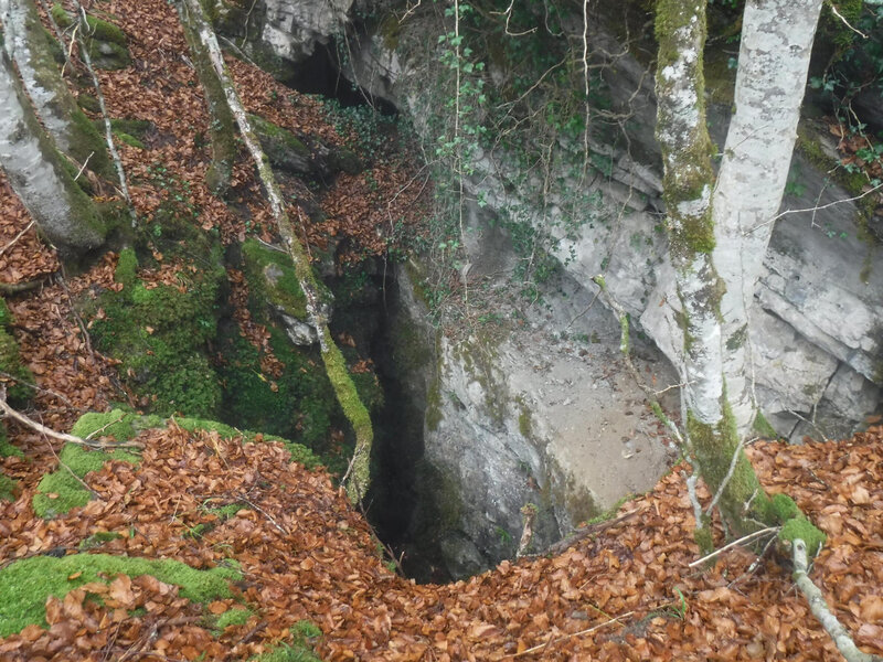 l'entrée de la cavité