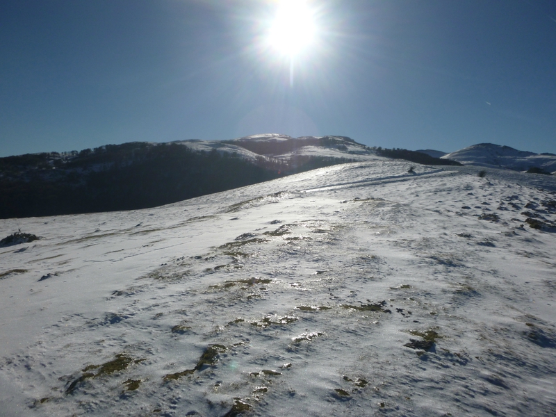 photos du 1 janv 2015 009