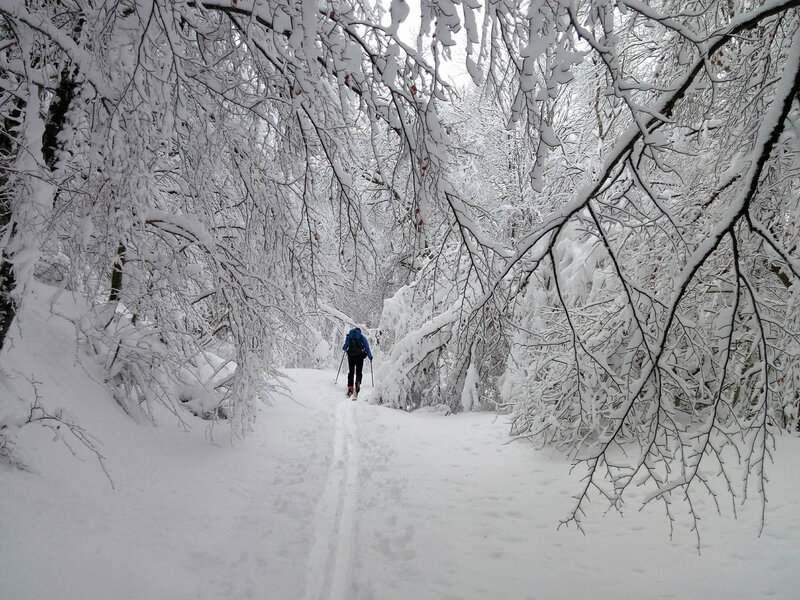 Neige bien lourde et collante...