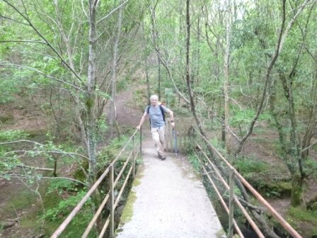 22-Pont du chemin des asphodèles