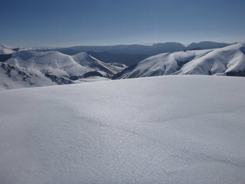 On dirait pas, mais c'est blanc...